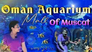 Oman Aquarium Adventure | Exploring Marine Wonders | Mall Of Muscat | @NikkiTalky