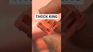 Akko Rosewood thock switches #mechanicalkeyboard #keyboardasmr #customkeyboard