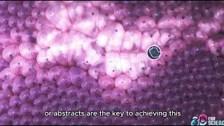 Scientific Explainer Video
