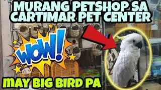 MURANG PETSHOP STORE SA CARTIMAR PET CENTER STORE NUMBER34 #kapetshop #african #cartimarpetcenter