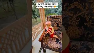 Are the peacocks 🦚 calling my baby 👶🏻?? #babyboss #funnybaby #shorts