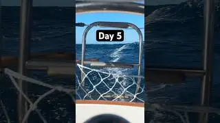 Day 5 sailing from Oregon to Hawaii