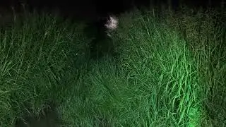 DEMONIO EN FORMA DE NIÑA INTENTA HACER CREERME QUE SOY SU PADRE