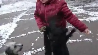 CIMG2409 AVI