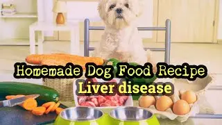 Рецепт домашнего корма для собак при заболеваниях печени &mdash; Canine Nutritionist