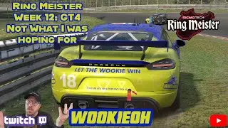 Ring Meister, 12-я неделя: GT4