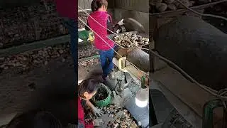 River Gravel Pebble Stone Crushed Landscape Decorative Polish Color Stone