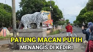 Viral Di Kediri.! Patung Macan Putih Menangis Hebohkan Warga
