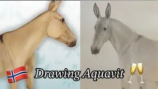 Drawing Every BREYERFEST 2026 SR Because It’s Tradition Now // Aquavit