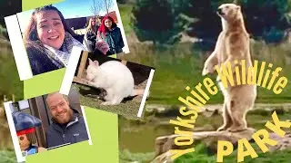 Yorkshire Wildlife Park | What&rsquo;s New 2022 - Polar Bear Dive Bomb | Travel of Ethel the Van