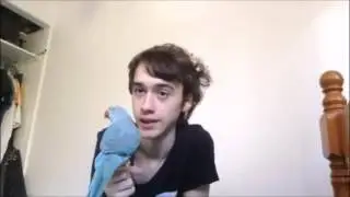 3 easy steps to caring for your pet ringneck parrot