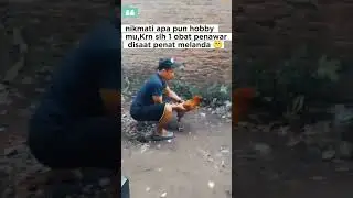 hobby merupakan penawar stres.#shorts #hidupsehat #motivasi #edukasi #viral