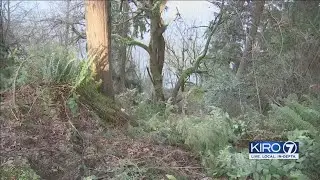 VIDEO: Another cliff rescue at Tacoma's Point Defiance Park