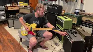 Shelton TimeFlite GTX (Lambertones Ristrettos) & Amplified Nation Wonderland Overdrive