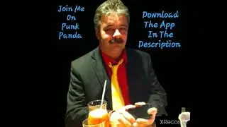 Punk Panda Deutsch Presentation