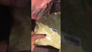 Rohtak ke suit bridal shopping