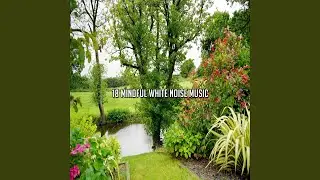 Peaceful Noise