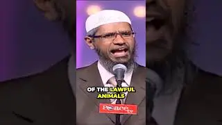 The Surprising Truth About Why Islam Allows Non Vegetarian Food