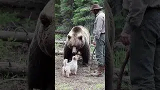 What Happens When a Dog Meets a Bear in the Wild?