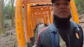 🥾 Kyoto Unfolds: Hiking Through Heritage P4