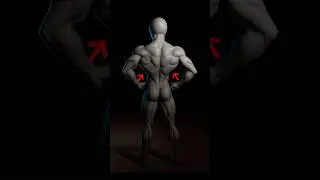 Cable vs Dumbbell Back Workout