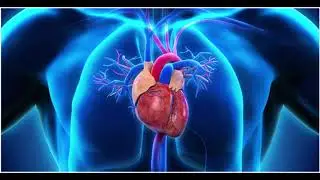 How to resolve stomach issues by Islamic Research Centre Directed by Waseem Imtiaz