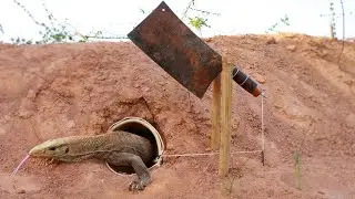 Easy Komodo Dragon Trap | Quick Creative Method DIY Komodo Dragon Trap Using Knife That Work 100%