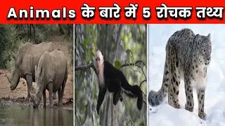 Animals के बारे में 5 रोचक तथ्य| 5 Amazing Facts About Animals | Amazing Facts| #shorts #shortsvideo