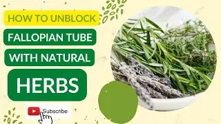 How to unblock the Fallopian tube with natural herbs