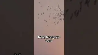 The Healing Power of Nature: Fire, Lake, and Birds Soundscapes for Relaxation and Mental Clarity.