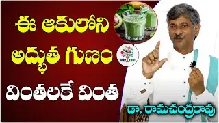 Dr. Ramachandra Rao On Basic Health Problem || Nature Care || Health Tree