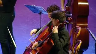 Orquesta  Vivaldi   Divertimento en Re, K  176&nbsp;de&nbsp;W &nbsp;A &nbsp;Mozart