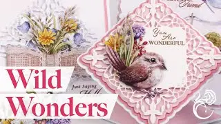 Wild Wonders Back To Air Show