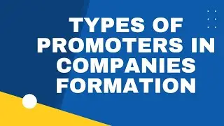 Types of Promoters in Companies Formation