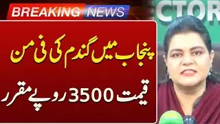 Punjab Government Fixes Wheat Price at Rs 3,500 per Maund | Breaking News | Such News