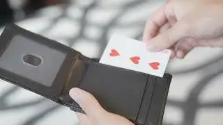 FPS Zeta Wallet Black by Magic Firm