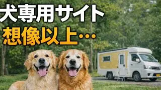 【犬専用オートサイト】ゴールデンレトリバーと行くNAO明野高原キャンプ｜わんこパラダイス体験