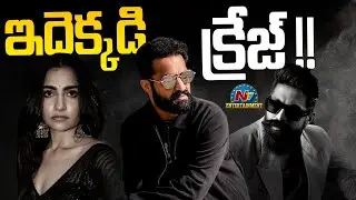 Huge Craze on Actress Rukmini Vasanth ? | Yash | TOXIC | NTR | #NTRNEEL | NTV ENT