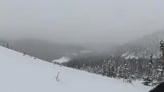 Viking Ridge Trail in North Central BC | Sugarbowl GrizzlyDen Park