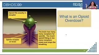 PWCS Family Engagement Series - REVIVE - Training for Families