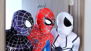 TEAM SPIDER-MAN vs BAD GUY TEAM | TRAINING NERF GUN To Become SUPERHERO ( Live Action )