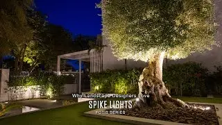 🌿✨ Why Landscape Designers Love Spike Lights