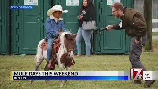 'Mule Days' underway in Benson this weekend