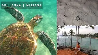 Sri Lanka 🇱🇰 | Mirissa | Mirissa beach | Schnorcheln mit Schildkröten | Coconut Tree Hill