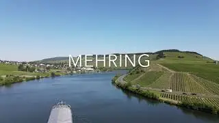 Mehring