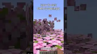 How To Get Cherry Saplings In Minecraft?!