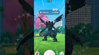 Catch Complicated Shiny Legendary Pok&eacute;mon #shorts #legendary #shiny #zekrom #raid #pok&eacute;mon #game