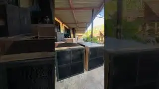 Test box Dynacord 18 in