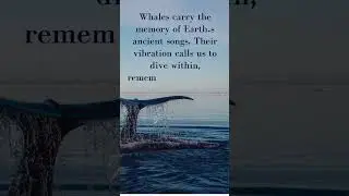 Whales: Keepers of Ancient Wisdom