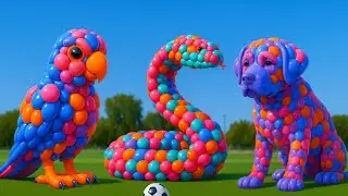 The mascot vibrato assistant dog placed on the football field is popular, co-produced, and creative